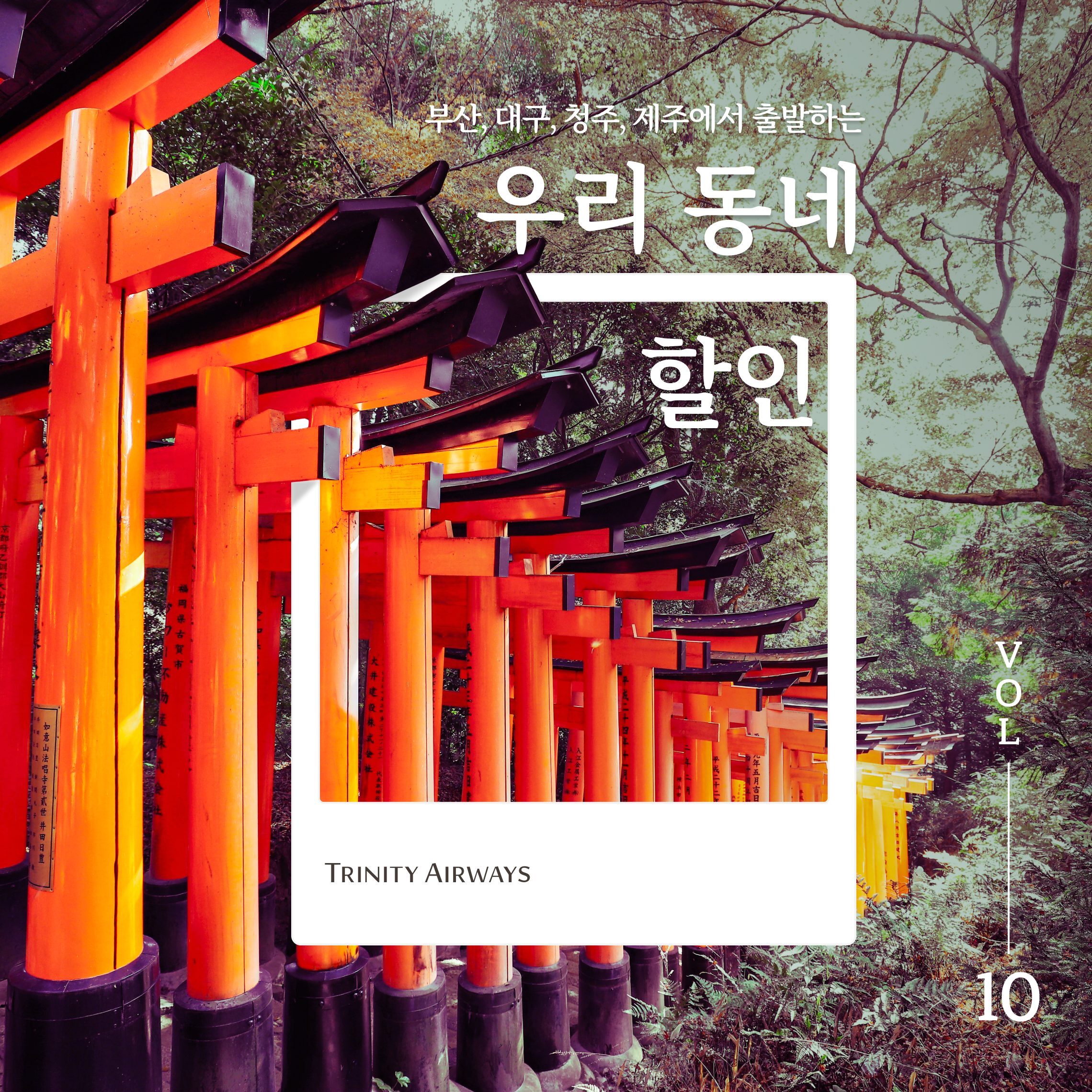 부산, 대구, 청주, 제주에서 출발하는 우리 동네 할인 TRINITY AIRWAYS VOL 10
