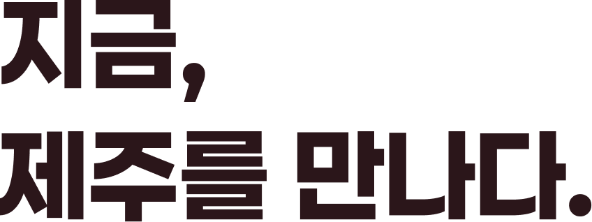 지금, 제주를 만나다.
